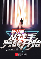 练习生从徒手劈砖开始最新章节